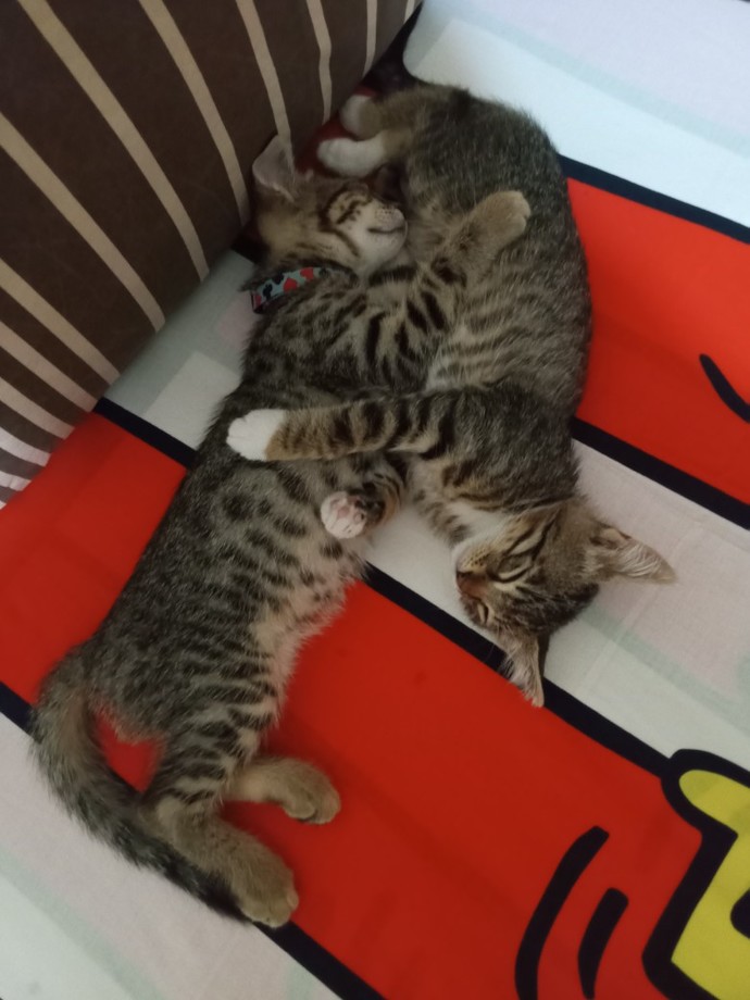 Tam şu anda napıyorsun?