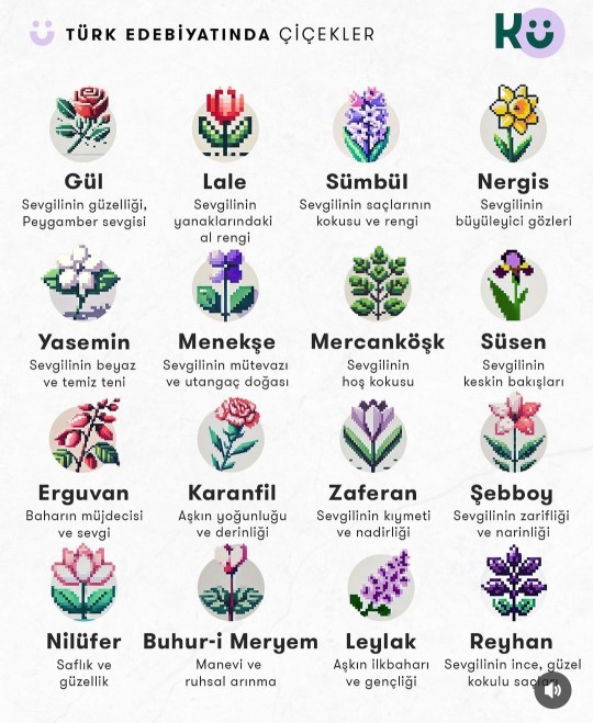 En manalı çiçek hangisi?