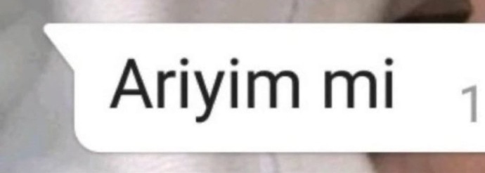 Gelmesini en fazla sevdiğiniz mesaj hangisidir?