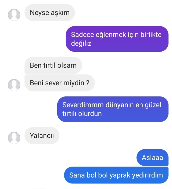 Piremses erkek sever misiniz?