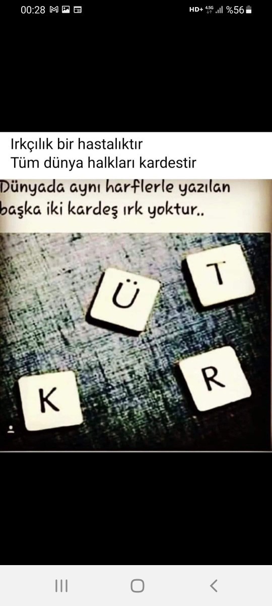 Kürt ile Türk kardeş midir?