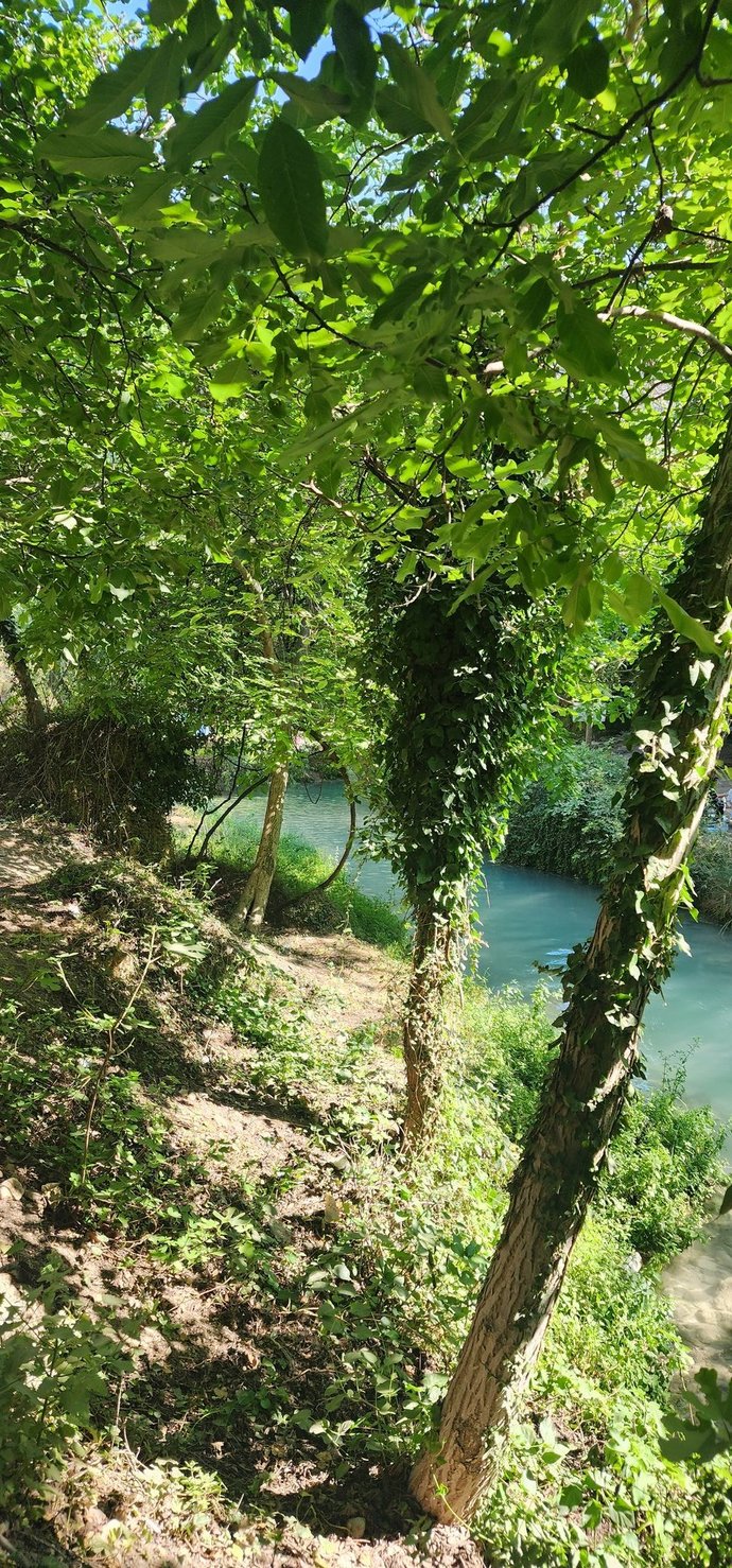 Tutkulu ama mesafeli olmak. Güçlü karakterlerin olayı mıdır?