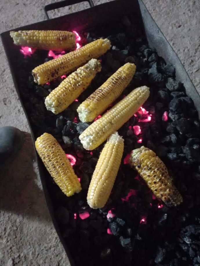 Mangal da mısır sever misiniz?