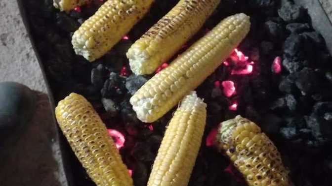 Mangal da mısır sever misiniz?
