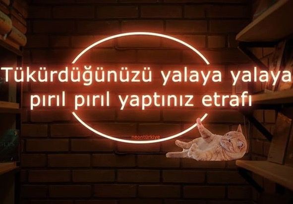 Tükürdüğünü yalar mısın?