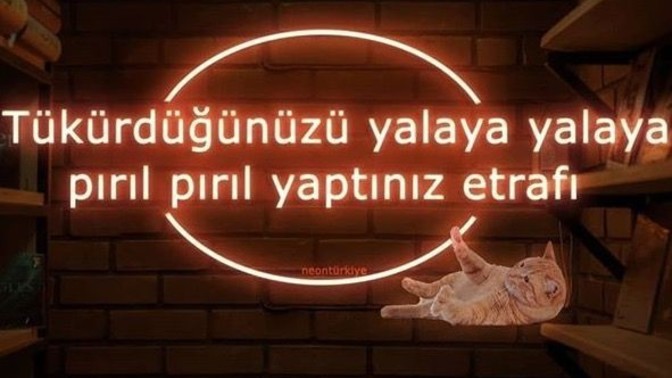 Tükürdüğünü yalar mısın?