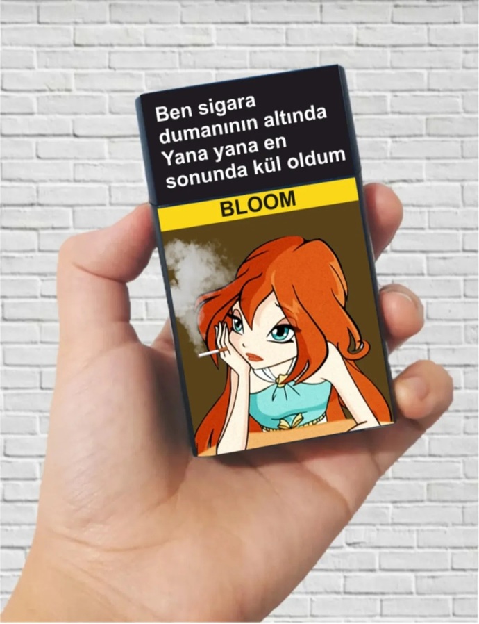 Hangi sigara kutusu sizce?