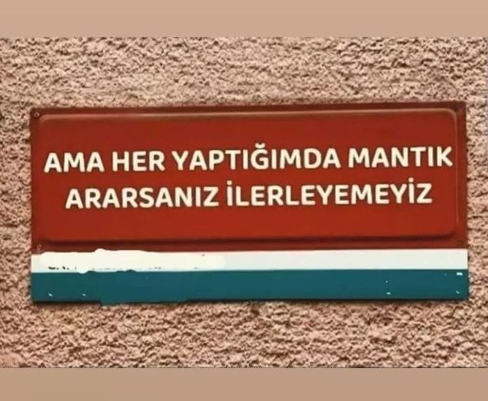 Her hareketinizde mantık arayan insanlara tepkiniz ne olur?