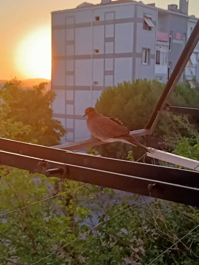 En son en güzel ne gördünüz?