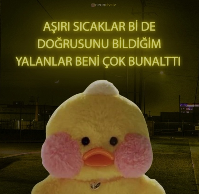 Sizi neler bunalttı?