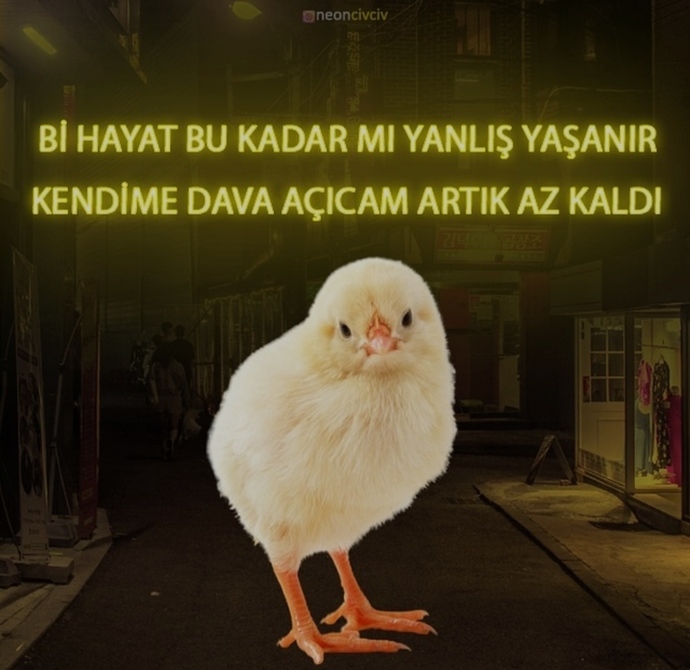 Hayatı doğru mu yaşıyorsunuz, yanlış mı?