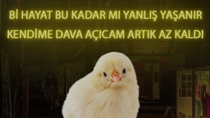 Hayatı doğru mu yaşıyorsunuz, yanlış mı?