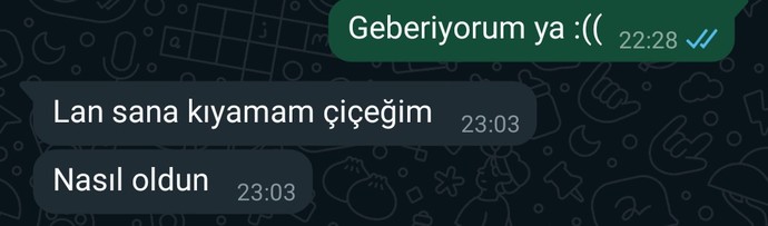 Telefonunuza en son gelen mesaj ne ❓?