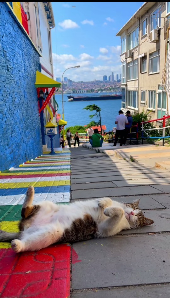 Mutlu olabilmek için sizin neyiniz eksik?