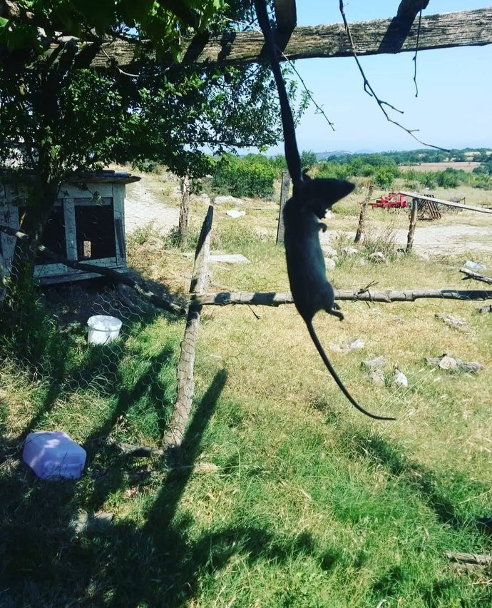 İntihar 𝔼tmeyi 𝔻üşündünüz /𝔻enediniz 𝕄i?