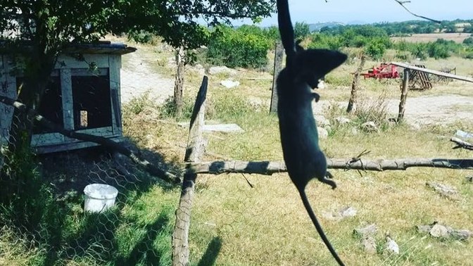 İntihar 𝔼tmeyi 𝔻üşündünüz /𝔻enediniz 𝕄i?