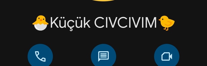 Kardeşiniz ne diye kayıtlı telefonda?
