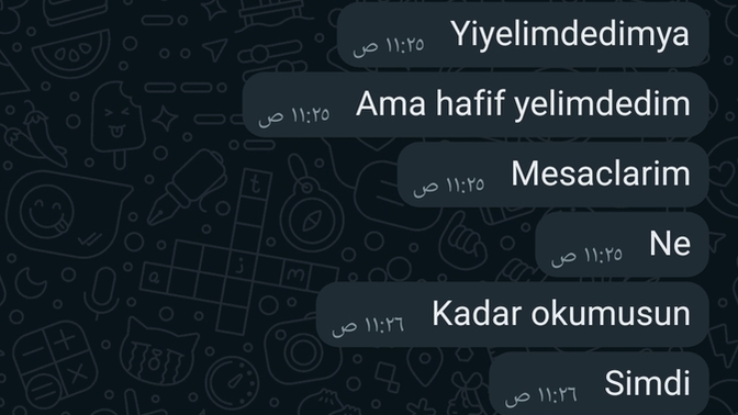 Kardeşiniz ne diye kayıtlı telefonda?