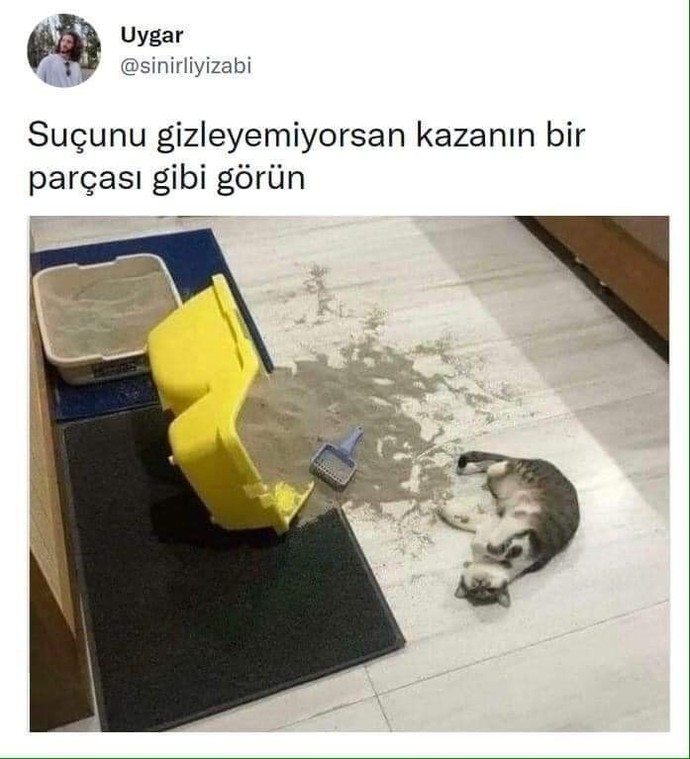 Sevmekten vazgeçemediğin bir şey var mı?