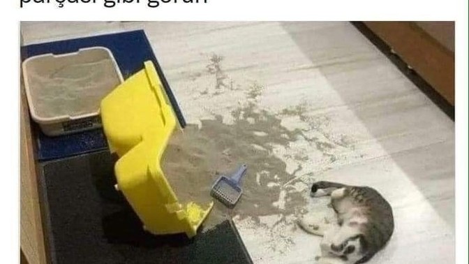 Sevmekten vazgeçemediğin bir şey var mı?