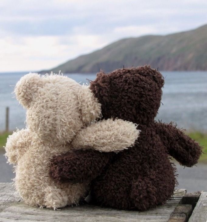 🧸🤎