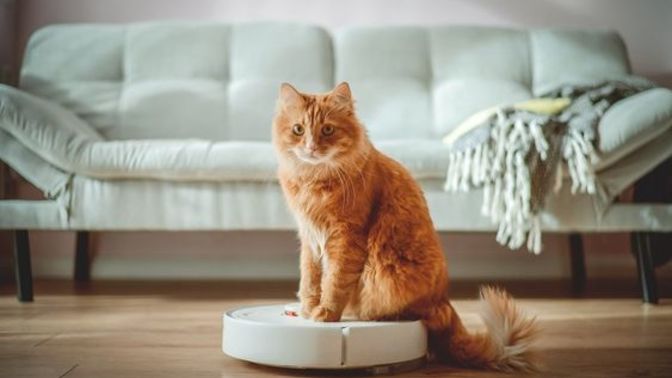 Robot süpürge öncelikli bir ihtiyaç mı?