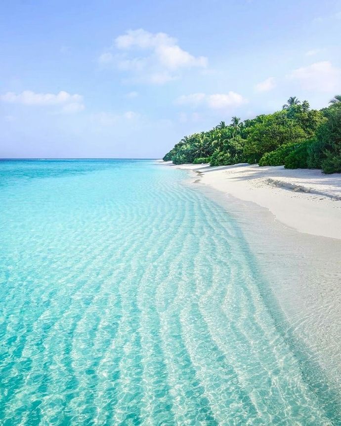🏝️