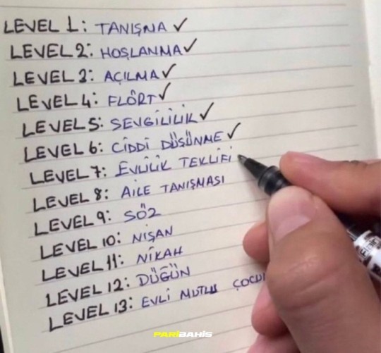 Siz hangi leveldesiniz?