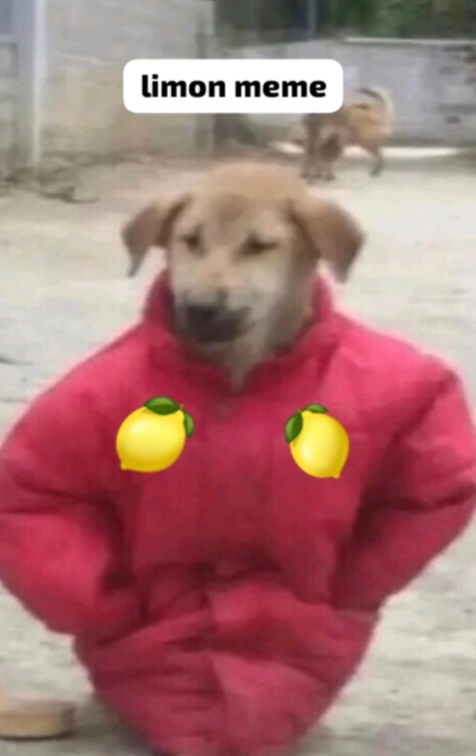 Erkekler bana bakmiyor limon memem var ondan olabilir mi?