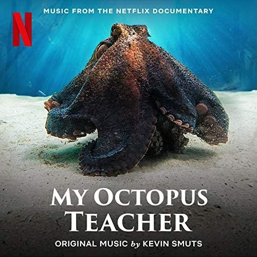 Film veya belgesel önerebilir misiniz?