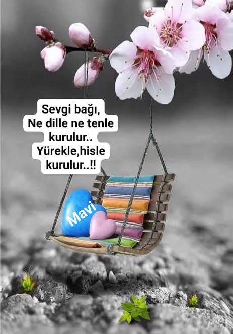 Sevmek için hiç sebep aradınız mı?