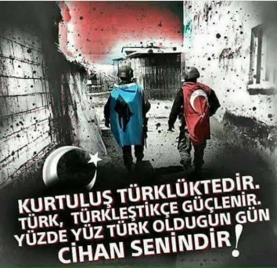 Milli Takımın zaferi sonrası Merih Demiral'ın Türk selamı sevincini nasıl buldunuz?
