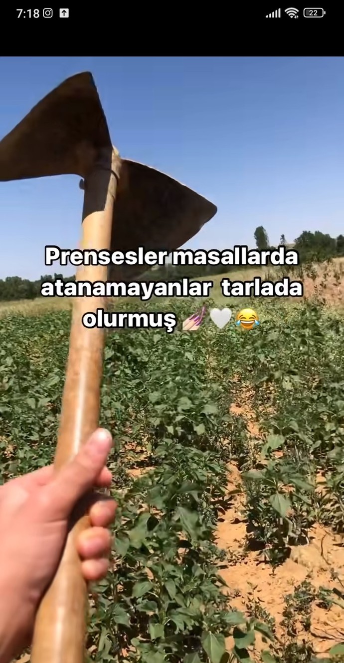 En mantıklı meslek hangisi?