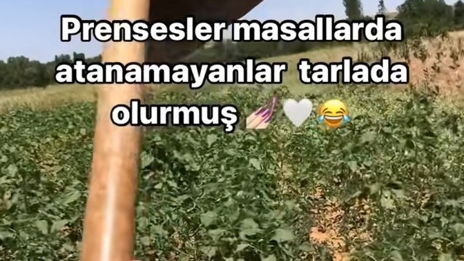 En mantıklı meslek hangisi?