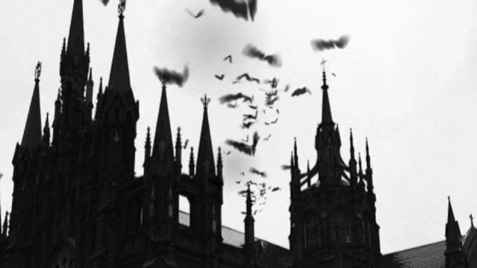 Riskli kararlar alır mısınız?