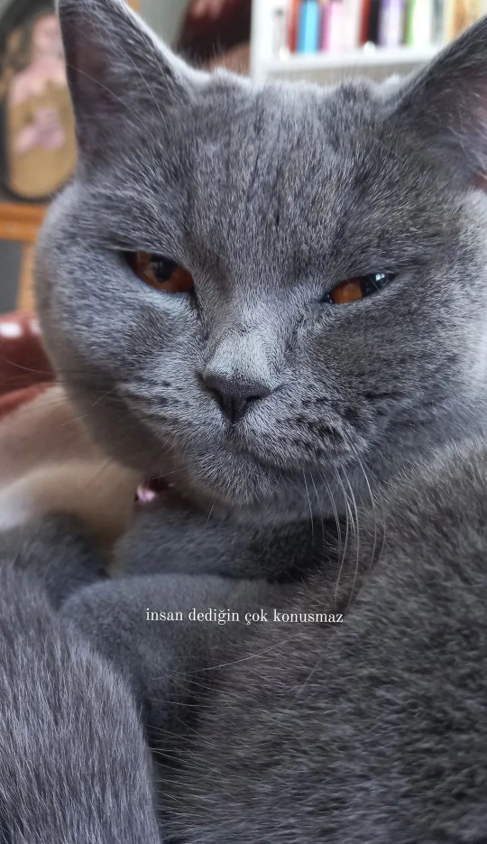 Çok konuşan insan sever misiniz?