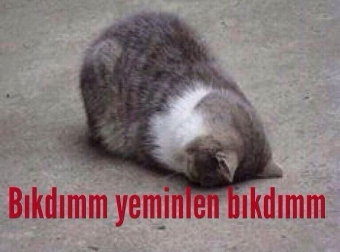 Şu hayatta en çok nelerden bıktınız?