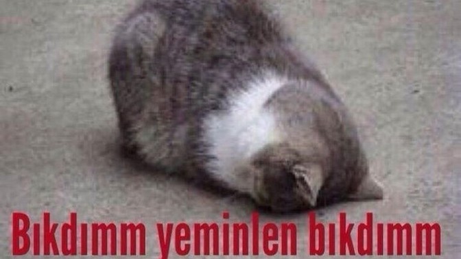 Şu hayatta en çok nelerden bıktınız?
