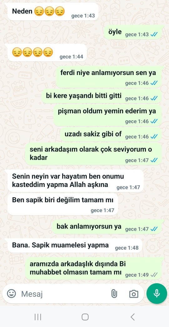 Anlamıyor mu salağa mi yatıyor?