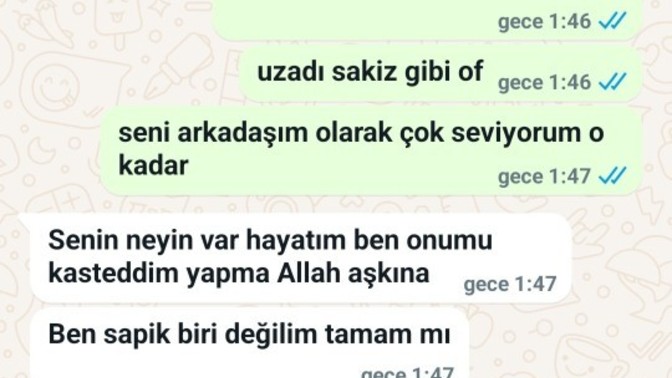Anlamıyor mu salağa mi yatıyor?
