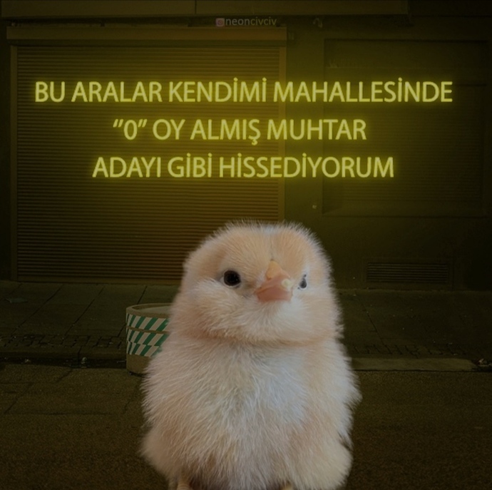 Bu aralar kendinizi nasıl hissediyorsunuz?