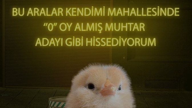 Bu aralar kendinizi nasıl hissediyorsunuz?