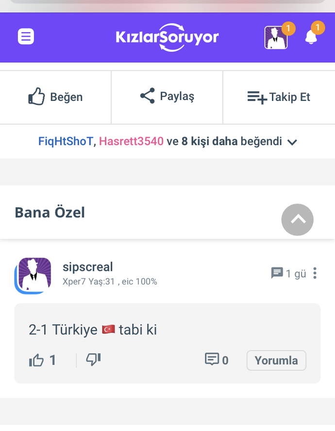Hollanda Türkiye maçı ne olur sizce?