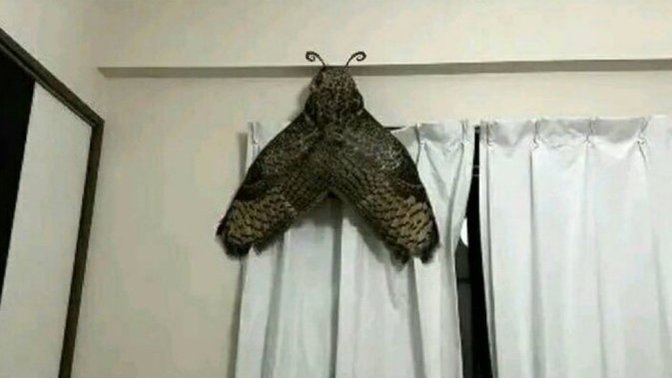 Eve geldin odanda böyle bişey var ne yapardın?