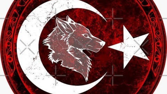 Bozkurt işareti nedir? Nereden gelir?