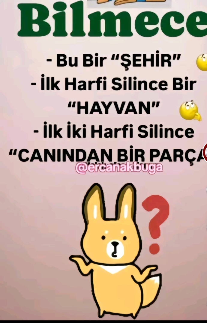 Bu bulmacayı çözebilir misiniz?
