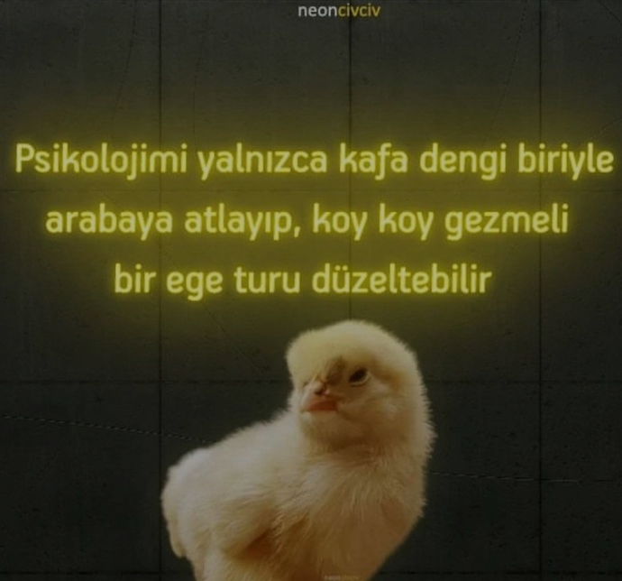 Psikolojinizi neler düzeltir?