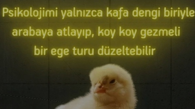 Psikolojinizi neler düzeltir?