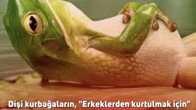 Karşı cinsi görmekten sıkıldınız mı?