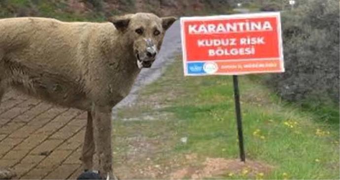 Engellediğiniz kişinin etrafınız da gezinmesi sizi rahatsız eder mi?